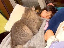 寝転がる２人の女の子→ネコが混ざろうとした結果…思った以上に『愛おしい光景』に注目集まる「猫団子になってる」「集まって癒しタイム」