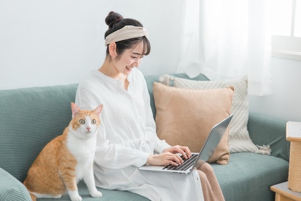 パソコンを操作する女性の隣に座る猫