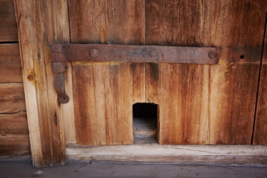 現存する最古の「猫ドア」か？　英国の大聖堂や図書館に残る「穴」