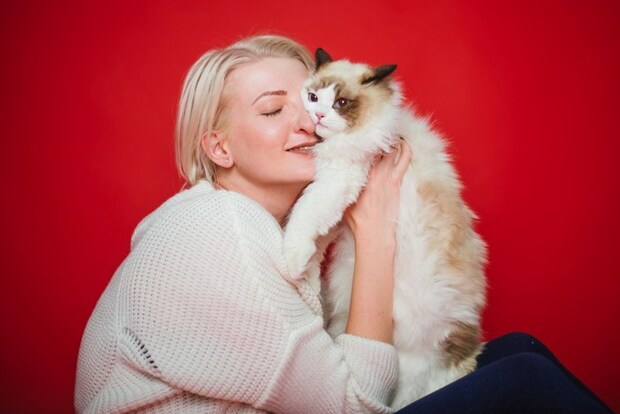 女性にハグされるラグドール