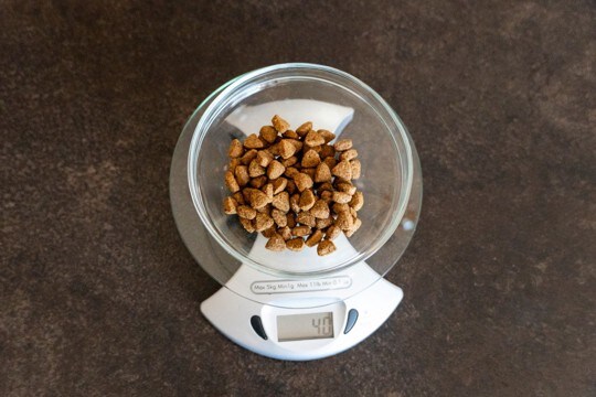 猫に与えるご飯の『適正カロリー』とは？年齢や体格などに合わせた計算式も