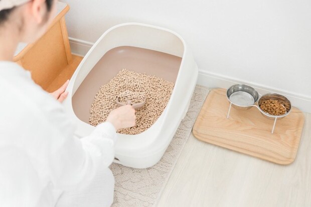 トイレ掃除する女性