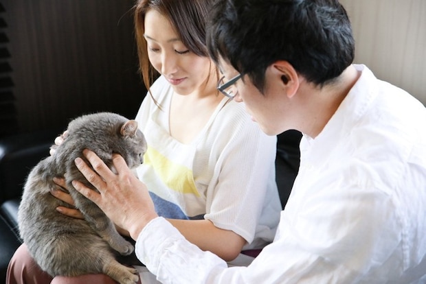 抱っこされる猫