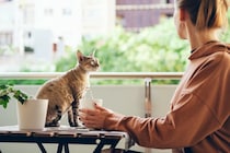 もしも猫が人間になったら『やりそうなこと』4つ　気まぐれな性格に振り回されるかも？