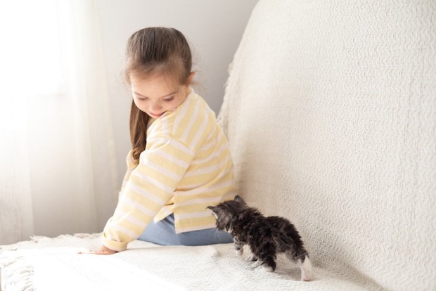 自分から子どもに近づく子猫