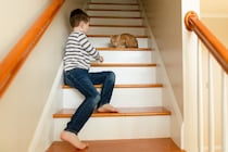 猫が撫でられそうになると逃げる心理5つ　距離を縮めるコツから配慮すべきことまで