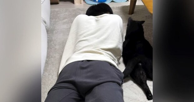 同じ体勢で寝転がっていた猫とお兄ちゃん→仲良く眠っているのかなと思ったら…予想外の『尊すぎる瞬間』に「ぎゃわいい」「あまりにも仲良し」