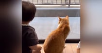 窓際でひなたぼっこをしていた赤ちゃんと猫…とんでもなく尊い『やり取りの様子』に「ニマニマしちゃった」「大好きなのが伝わる」とSNSで反響