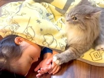 遊び疲れ、床で眠っている小さな女の子→気づいたネコが…いつまでも見ていたい『寄り添う光景』に反響「手を繋いでいるよう」「健気だね」