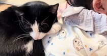 『家のことしないといけないのに…』ママの膝の上を見ると→猫と赤ちゃんの『可愛すぎる光景』が18万再生「うらやましい」「幸せ空間」