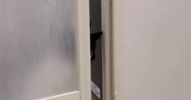 呼んでも来なかった猫→『泣き真似』をしてみると…『胸キュン必至』の瞬間が71万再生「優しい彼氏さんやな」「イケニャンすぎる」と絶賛