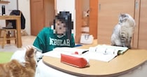 テスト勉強をするお姉ちゃん→『犬と猫』が集まってきて…『微笑ましすぎる勉強風景』に「私も応援されたいｗ」「可愛くて笑った」と反響