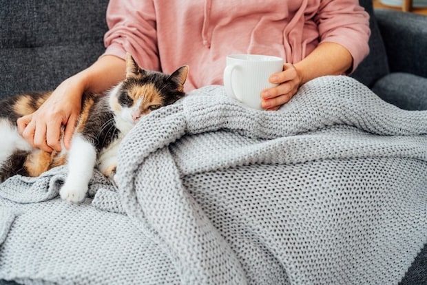 女性のそばでくつろぐ猫