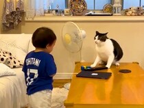 小さな男の子を威嚇しまくるネコ→近づいた結果…まるでツンデレな『教育方法』が785万再生「猫パンチの優しさ」「毅然としたところ好き」