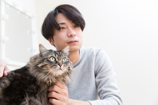 猫と若い男性