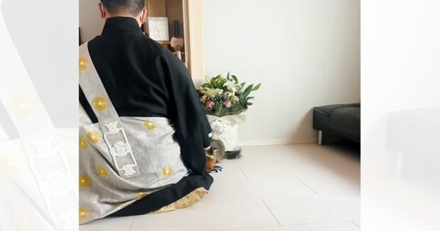 おばあちゃんの三回忌で、ネコが…お坊さんのそばで見せた『まさかの行動』が407万再生「絶対に笑ってはいけない三回忌」「集中できんｗ」