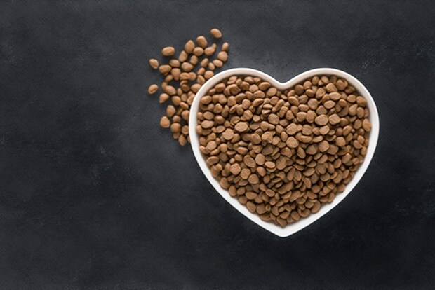 置きっぱなしのフード