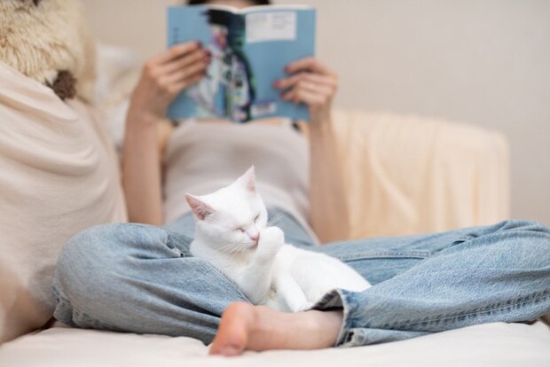 猫と本を読む飼い主