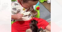 1歳5か月の赤ちゃん→小さな子猫が登ってくると…信じられないほどに尊い光景が269万再生「あまりの可愛さに悲鳴出るｗ」「平和な世界」