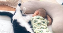 赤ちゃんがお昼寝していると、そっと猫がやって来て…『泣けるほど愛おしい瞬間』に「家族と認識してる証」「あったかいからね」と反響
