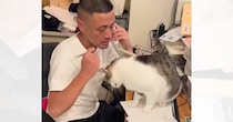 仕事相手と電話中の男性→かまってほしい保護猫が、ヒザに手を伸ばして…絶対に無視できない『健気な行動』が265万再生「可愛いネコハラ」