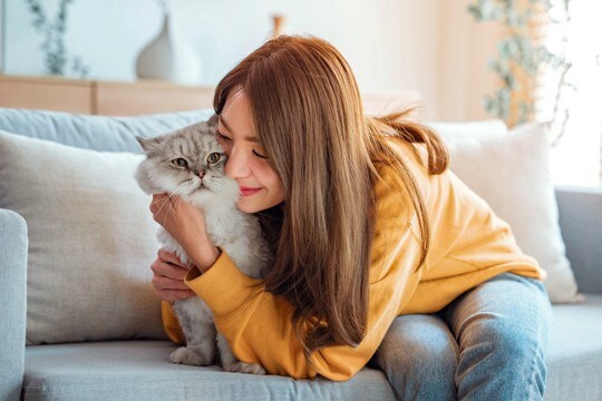 猫には大迷惑な『飼い主の勘違い行為』4選 構わず続けていたら、愛猫に嫌われるかも!?