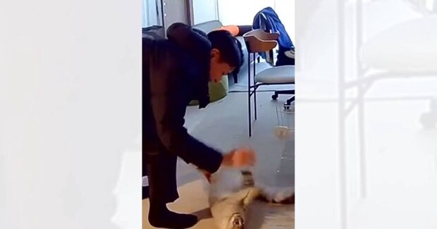 見守りカメラの様子を見たら、パパと猫が…微笑まずにはいられない『ふたりのやり取り』が29万再生「爆笑してしまった」「気付いてるんかなｗ」