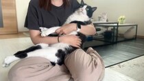 ママに抱っこされる猫→まるで『赤ちゃんのよう』で…幸せいっぱいな可愛すぎる光景に２万いいね「なんて愛おしい」「人間に見えてきたｗ」