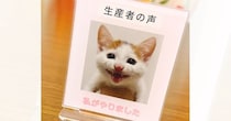 『生産者』愛猫のアクリルスタンドの前に置いてあったのは…とっても貴重な『モノ』に「一生の宝物だね」「おめでとうございます」と２万いいね