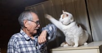 お父さんが猫に『おやすみ』を言いに近づいたら…まさかの『返し』に２万いいね「肉球のあとがついてて可愛い」「ふたりの表情が最高」