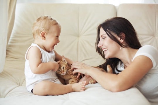 『猫と赤ちゃん』はうまく付き合える？安全に暮らすための3つの守るべき約束