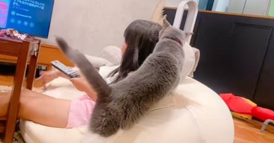 『大好きな娘に名前を呼ばれた猫』が、次の瞬間…あまりにも尊すぎる『愛情表現の様子』が50万再生「好きでたまらないんだね」「凄い絡みｗ」