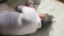 『猫を飼うのは絶対に許さない』と言っていた父→猫と暮らし始めた結果…微笑ましすぎる『現在の姿』に「よかったねぇ」「知ってしまったんだね」