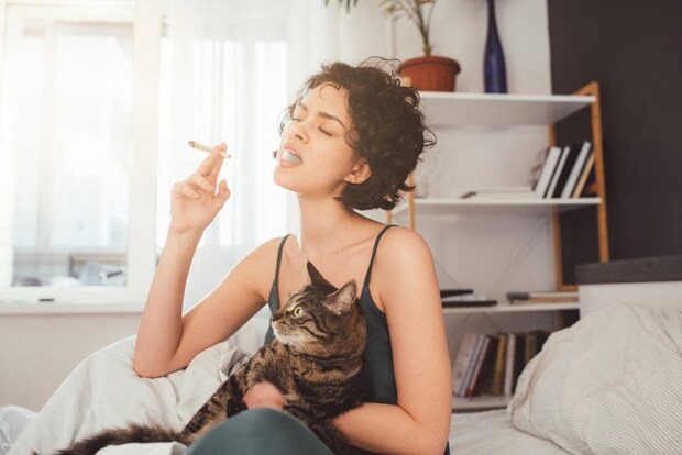 タバコに驚く猫