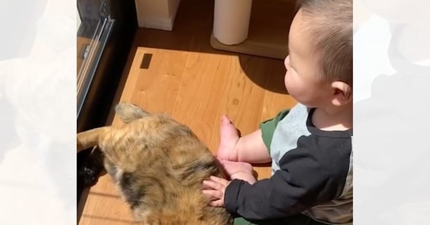生まれたときから猫といっしょに育った赤ちゃん→猫のことが好きになっていって…愛にあふれた『成長記録』に感動「ただただ愛らしい」