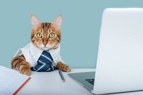 時の首相より猫のほうが活躍していた！？労働組合に貢献（？）した猫たち　英国