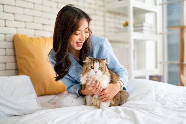 ベッドにいる人と猫