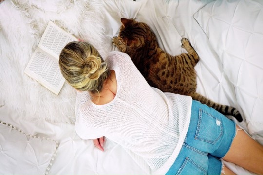 猫が『飼い主の真似』をしているように見える行動3選　意外な理由や研究結果もご紹介