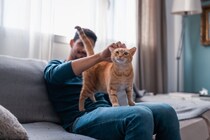 猫を虜にさせる『上手な撫で方』のポイント3つ　喜んでもらえる理由や部位も解説