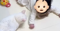 赤ちゃんとずっと『一定の距離を保っていた猫』→突然『変化』が起きて……まさかの光景に「かわいい～ｗ」「楽しそう」とSNSで反響