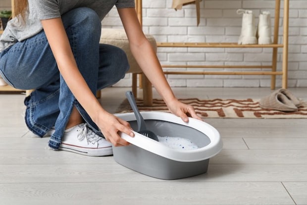 トイレ掃除をする人