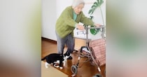 94歳のおばあちゃん→カートを押していると、『猫』がやって来て…心温まる『日常の光景』が45万再生「大好きなんだね」「いいコンビ」と絶賛