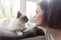 愛猫と『いい関係を維持』するための秘訣5つ　飼い主が心がけるべきこととは