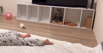大好きな女の子が突然『目の前で倒れるフリ』をしたら、優しい猫は…予想外のリアクションが18万再生「完全勝利ｗ」「演技が上手すぎｗ」