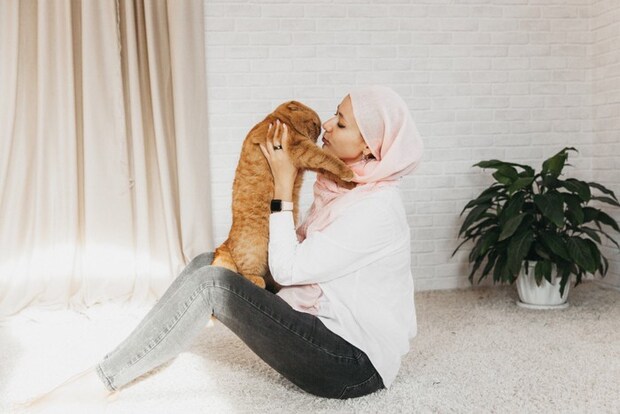 猫の顔