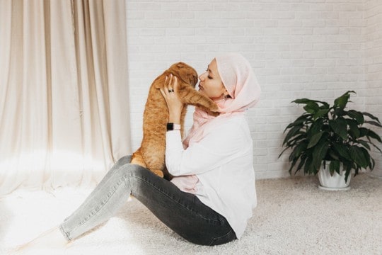 猫がわざわざ『飼い主の顔』に乗ってくる理由3つ　考えられる心理から上手な対処法まで
