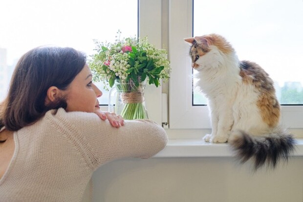 窓際の猫と女性