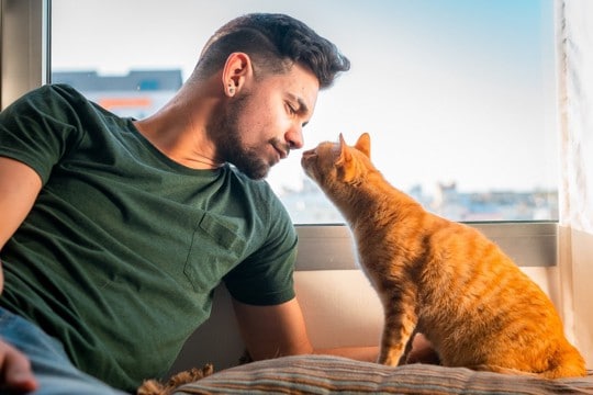 猫の『鼻チュー』に込められている5つの理由　信頼されている証？行動の意味とは