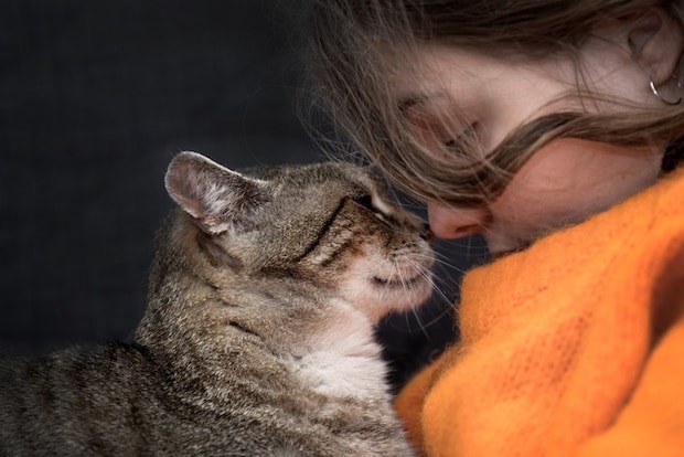 猫と向き合う人