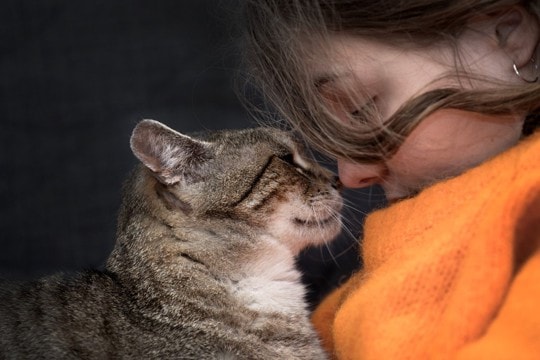猫との暮らしにも役立つ『アンガーマネージメント』とは？　思わず怒りそうな瞬間に行いたい対処法5つ
